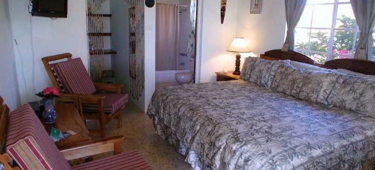 Hotel The Westender Inn Jamaica: Foto 