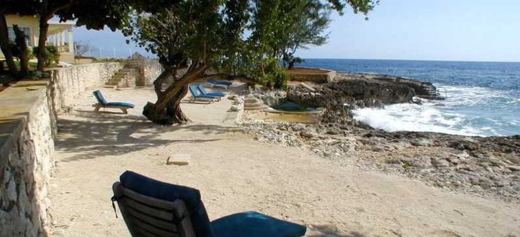 Hotel The Westender Inn Jamaica: Foto 
