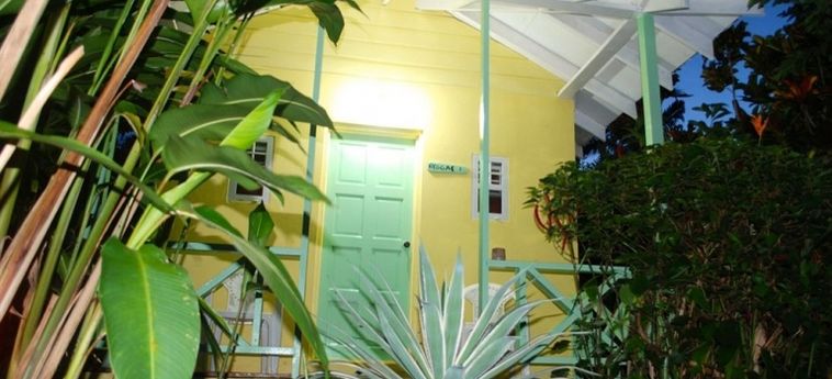 Hotel Hôtel Jamaïcan Colors:  JAMAICA