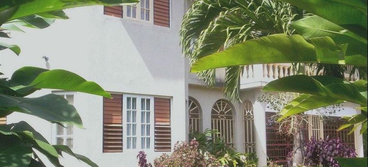 Hotel Freedom Palace:  JAMAICA
