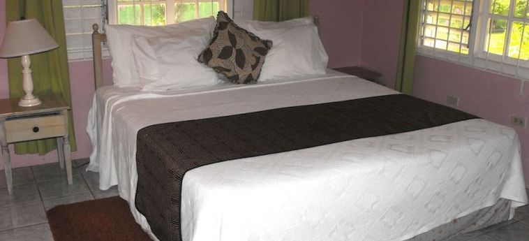 Hotel Silver Creek Resort:  JAMAICA