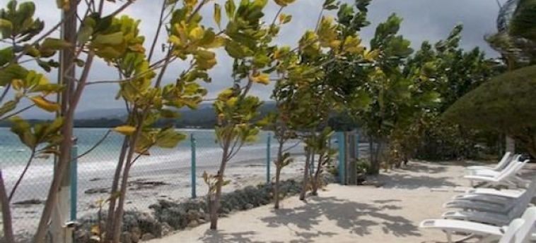 Hotel Tropical Escape @ The Palms Of Richmond:  JAMAICA