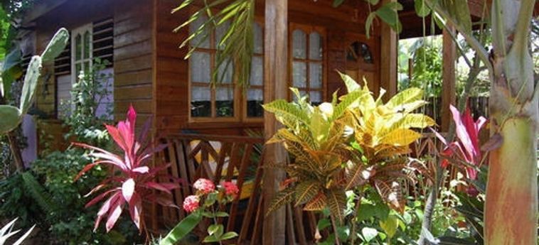 The Judy House Cottages & Rooms:  JAMAICA
