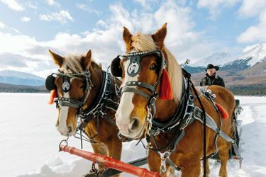 Hotel Pyramid Lake Resort Jasper: Photo 