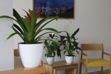 Hotel Grey Pearls Suites Jounieh: Photo 