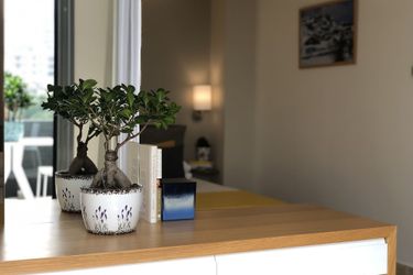 Hotel Grey Pearls Suites Jounieh: Photo 