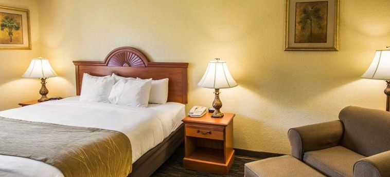 Hotel Comfort Inn & Suites:  JUPITER (FL)