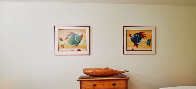 Hotel Lemon Tree Lodge Kaikoura: Foto 