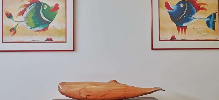 Hotel Lemon Tree Lodge Kaikoura: Photo 