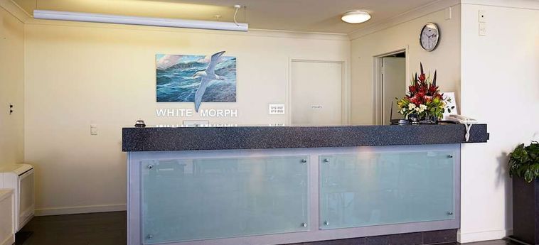 Hotel The White Morph Kaikoura : Photo 