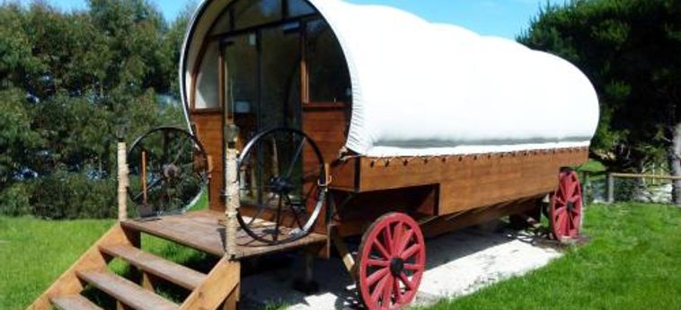 Hotel Wacky Stays Kaikoura: Foto 