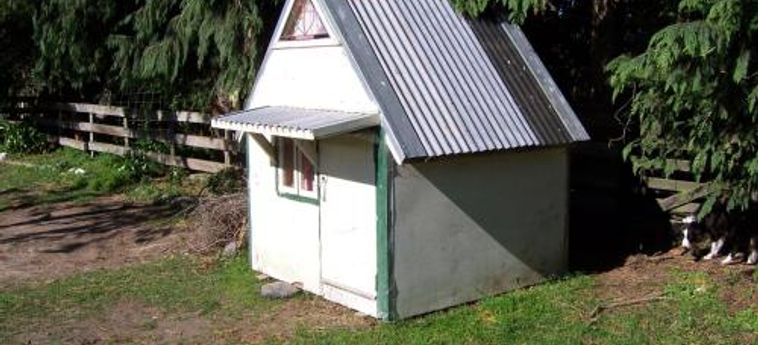Hotel Wacky Stays Kaikoura: Foto 