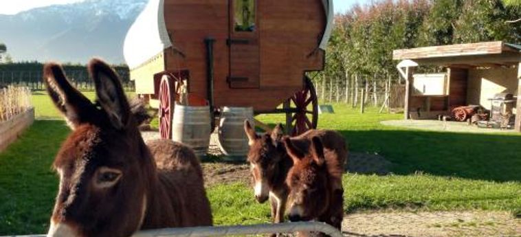 Hotel Wacky Stays Kaikoura: Foto 