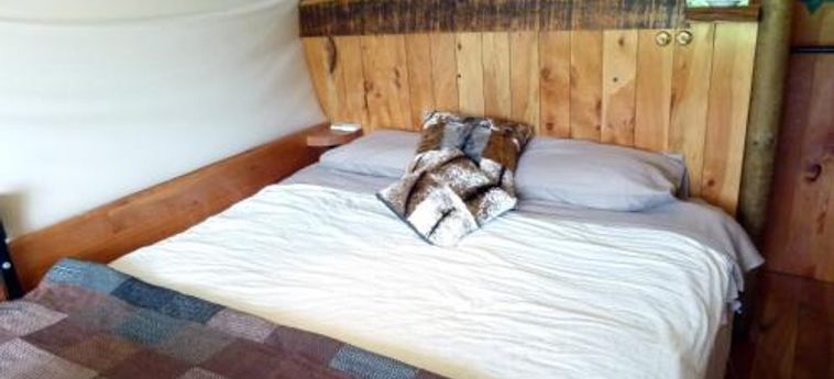 Hotel Wacky Stays Kaikoura: Foto 