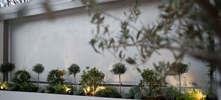 Hotel The Convo Athens Riviera Kallithea : Photo 