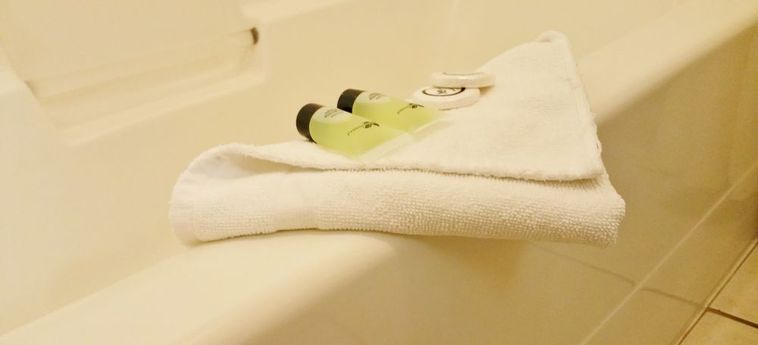 Hotel Alpine Motel Kamloops: Foto 