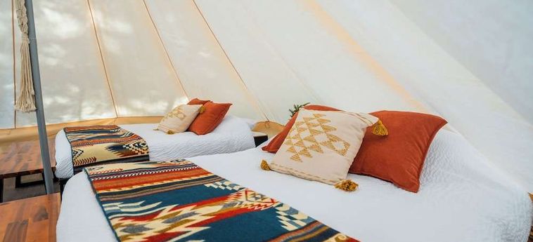 Hotel Sundance By Basecamp Kananaskis: Foto 
