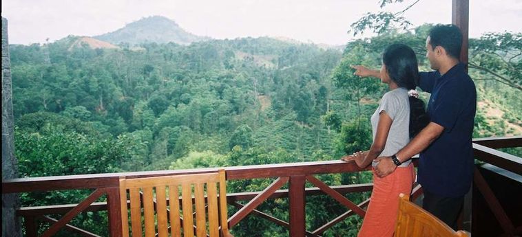 Hotel Tree Of Life Kandy: Foto 