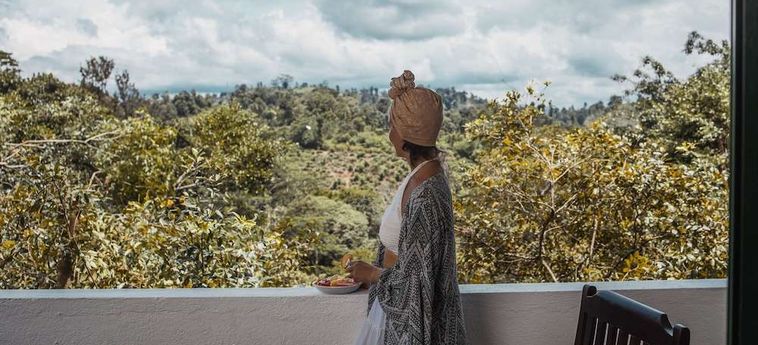 Hotel Tree Of Life Kandy: Foto 