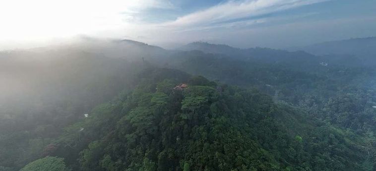 Hotel Tree Of Life Kandy: Foto 
