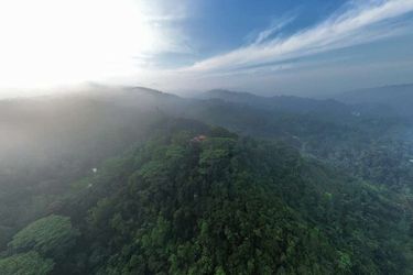 Hotel Tree Of Life Kandy: Photo 