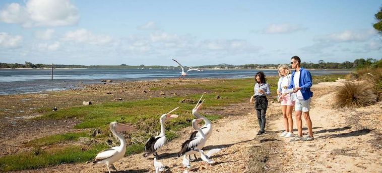 Hotel Mercure Kangaroo Island Lodge Kangaroo Island - South Australia: Foto 
