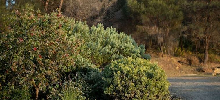Hotel Mercure Kangaroo Island Lodge Kangaroo Island - South Australia: Photo 