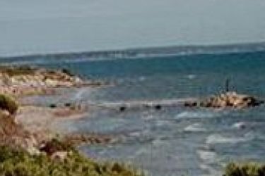 Hotel The Fig Tree B &Amp; B Kangaroo Island - South Australia: Photo 