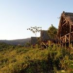 CRATER FOREST TENTED CAMP 1 Star