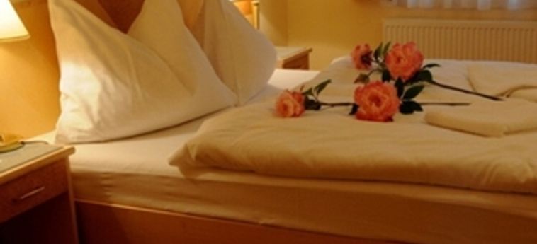 Hotel Maltezsky Kriz:  KARLOVY VARY