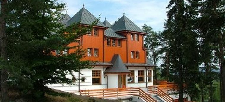 Hotel Vitkova Hora:  KARLOVY VARY