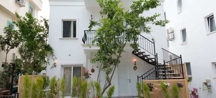 Hotel 8 Pansiyon:  KAS - ANTALYA