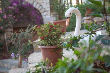 Hotel Sunset Villa  Kas - Antalya: Photo 