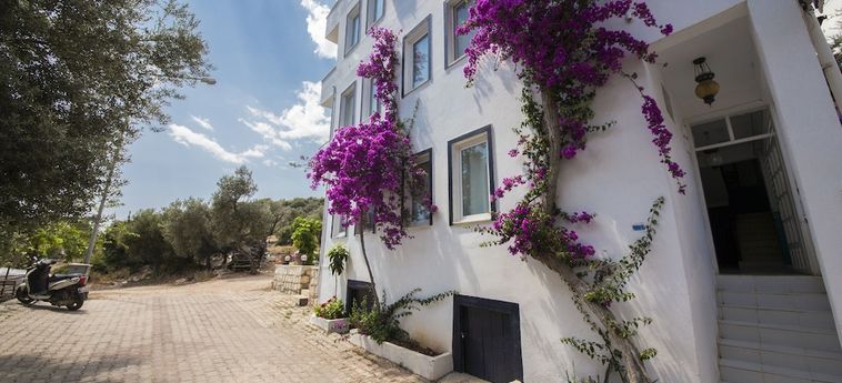 Hotel Selim Pansiyon - Adults Only Kas - Antalya: Foto 