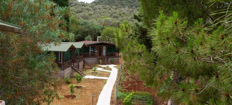 Delos Beach Hotel Kas - Antalya: Foto 