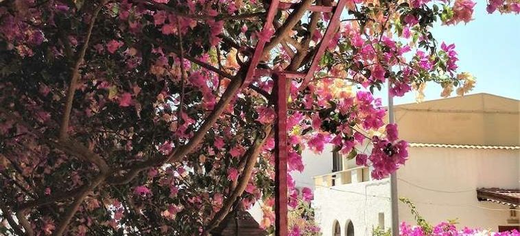 Hotel Smyrna Pansiyon Kas - Antalya: Foto 