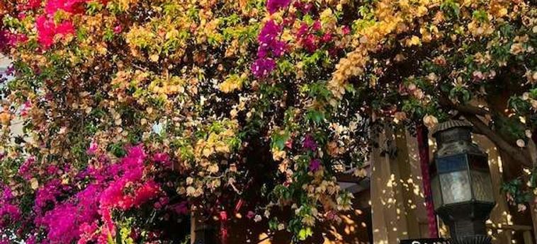 Hotel Smyrna Pansiyon Kas - Antalya: Foto 