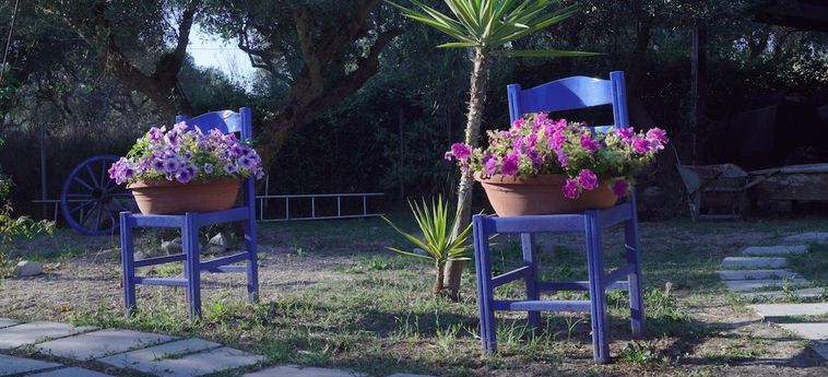 Volidiera Guesthouse Kefalonia: Foto 