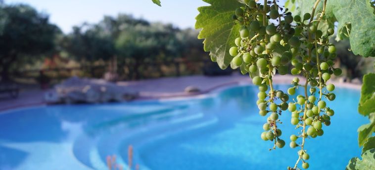 Volidiera Guesthouse Kefalonia: Foto 