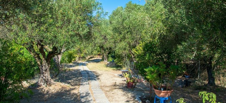 Volidiera Guesthouse Kefalonia: Foto 