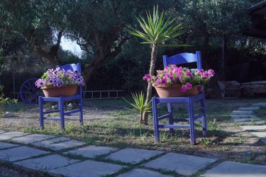 Volidiera Guesthouse Kefalonia: Photo 