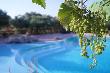 Volidiera Guesthouse Kefalonia: Photo 
