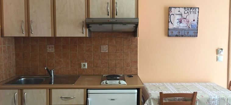 Hotel Eleni Studios Kefalonia: Foto 