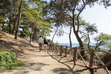 Hotel White Rocks Kefalonia: Photo 