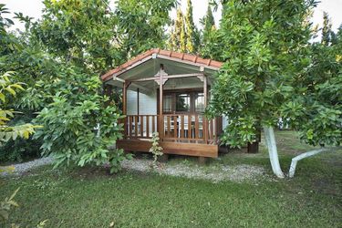 Hotel Akdeniz Bahcesi Kemer - Antalya: Photo 