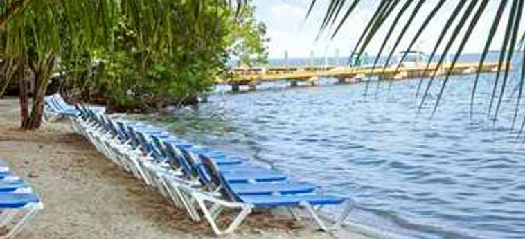 Hotel Baker's Cay Resort Key Largo, Curio Collection By Hilton:  KEY LARGO (FL)