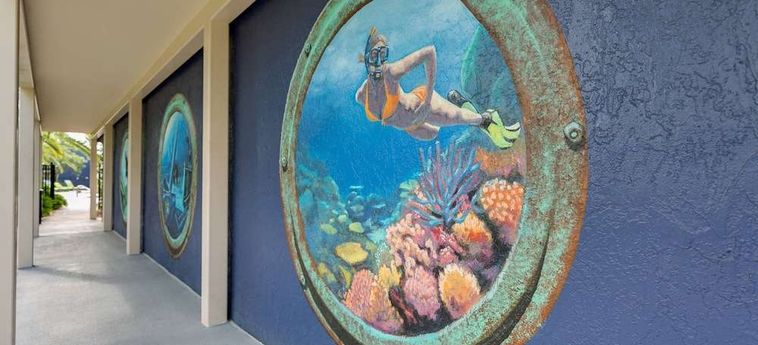 Hotel Fairfield Inn &Amp; Suites Key West At The Keys Collection Key West (Fl): Foto 