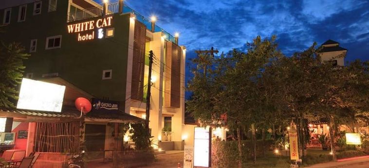 White Cat Hotel Khao Lak - Lam Ru : Photo 