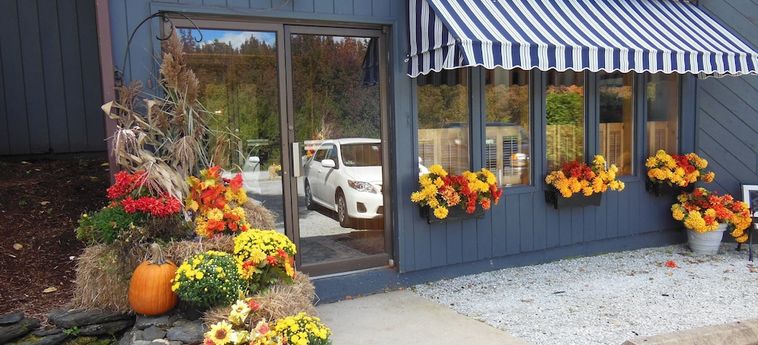 Hotel Greenbrier Inn Killington (Vt): Foto 