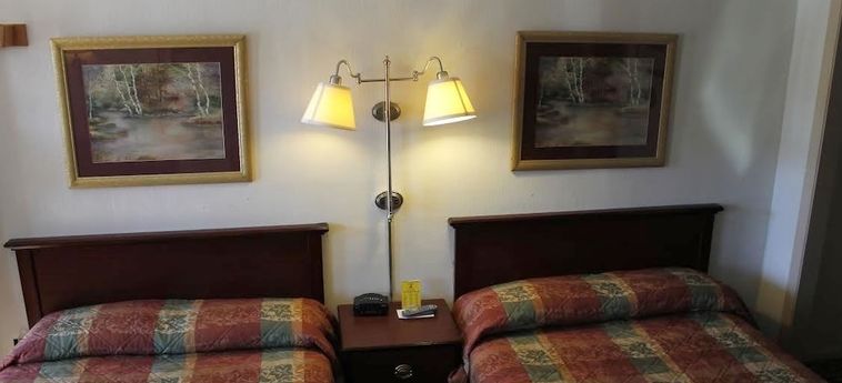 Hotel Happy Bear Motel Killington (Vt): Foto 